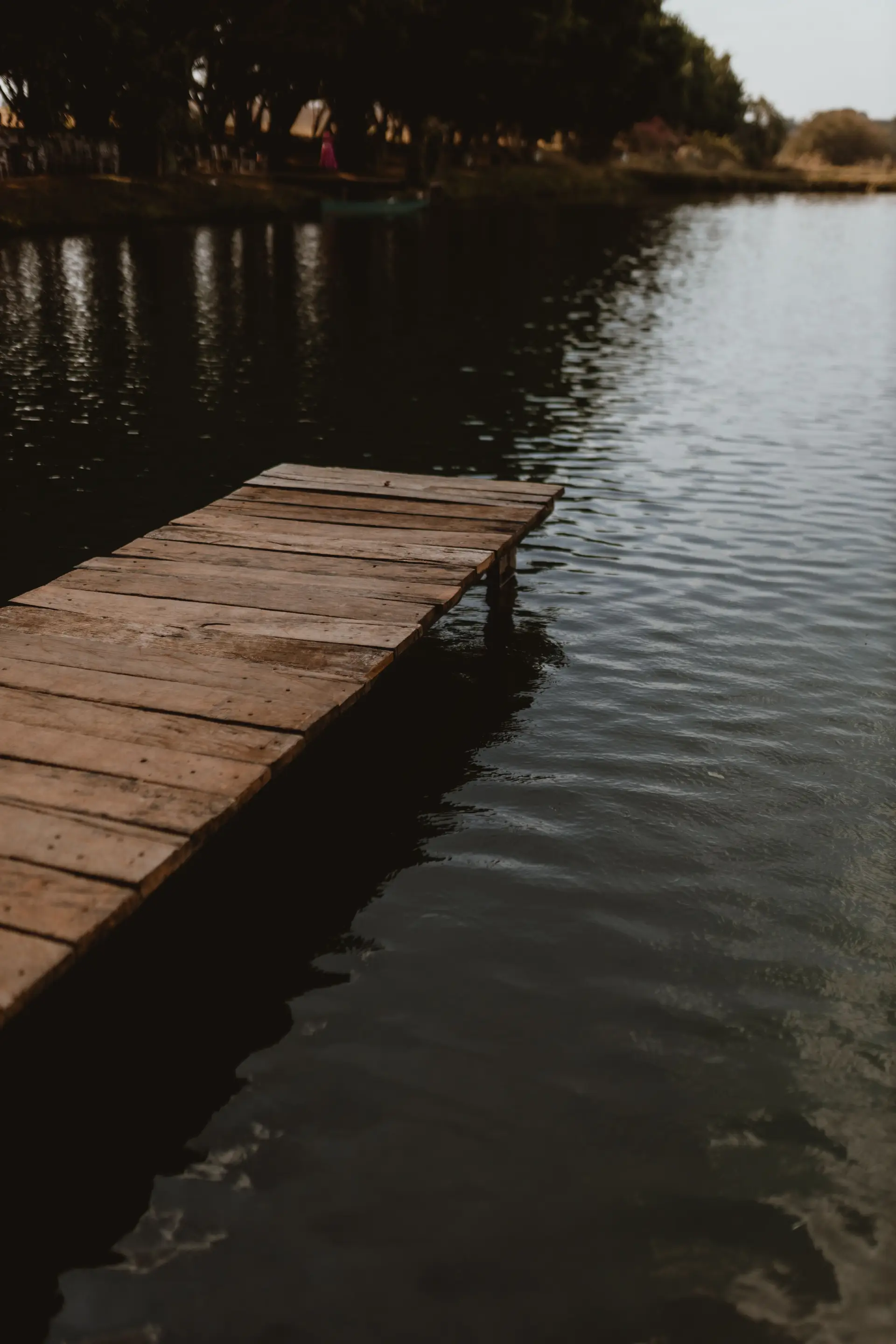 Quiet wooden boardwalk along the serene reeds and lake perimeter