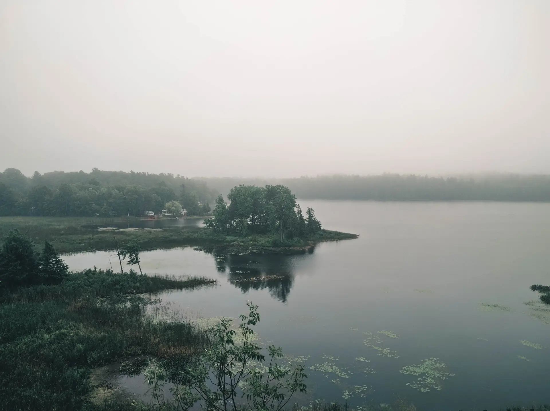 Foggy lakeside tranquil landscape