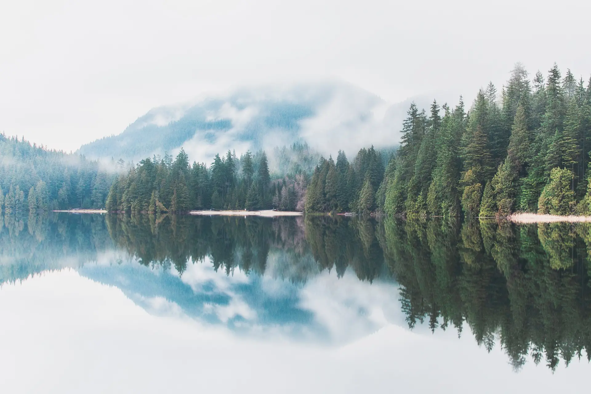 Misty morning reflection of evergreen trees on a calm lake in Port Moody