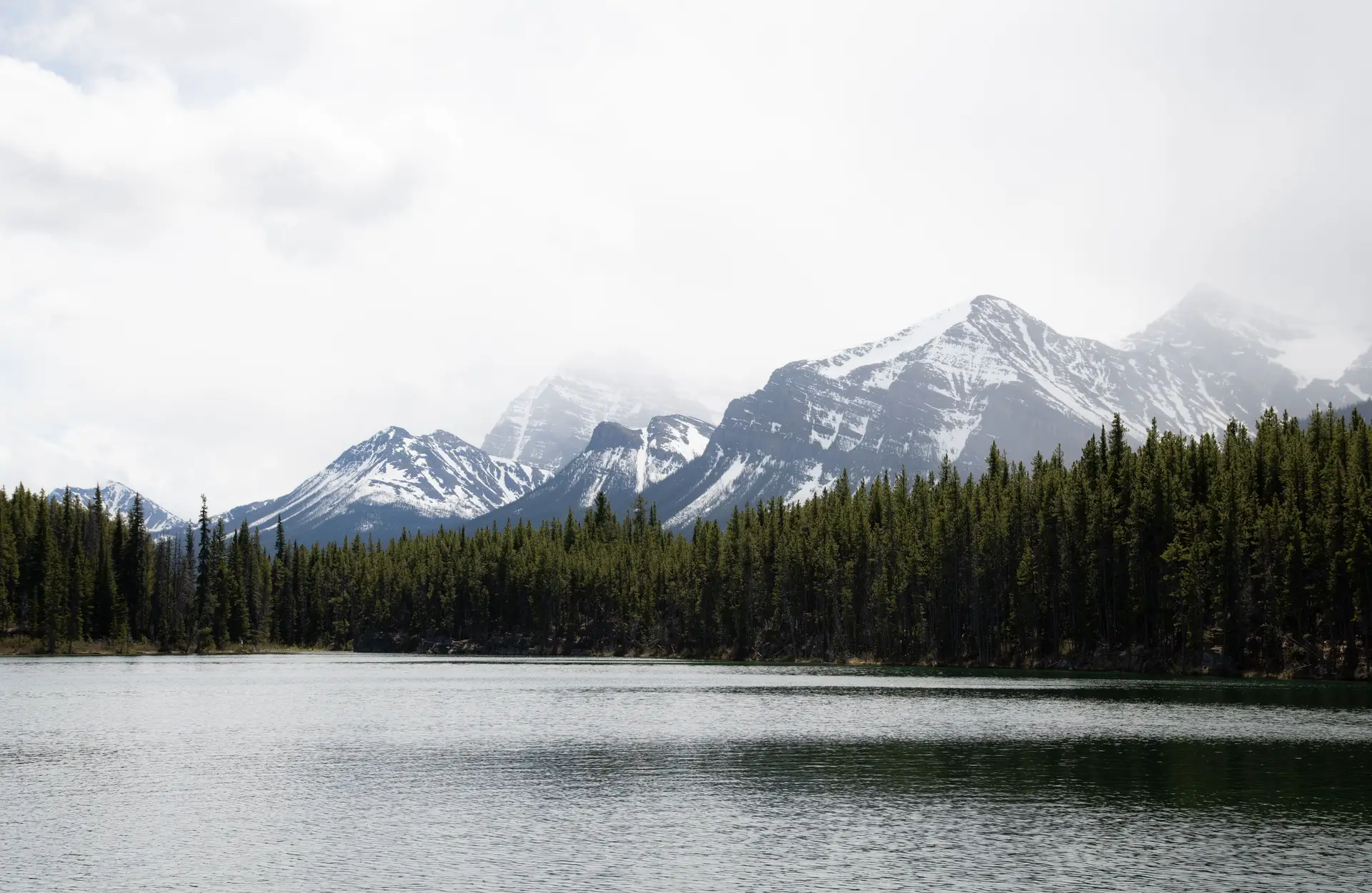 Snow-capped forest and still winter lake under soft white winter sky