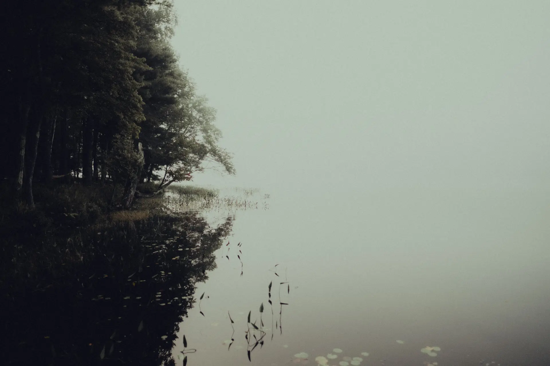 Panoramic serene Canadian lake at dawn shrouded in quiet morning fog