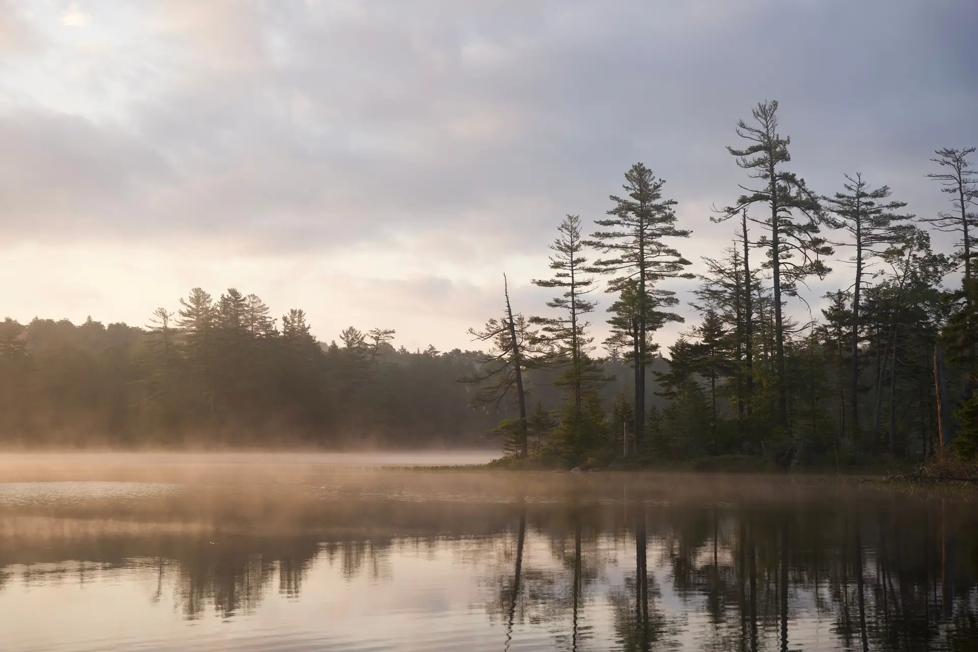 Deep forest reflection across still Canadian waters at dawn