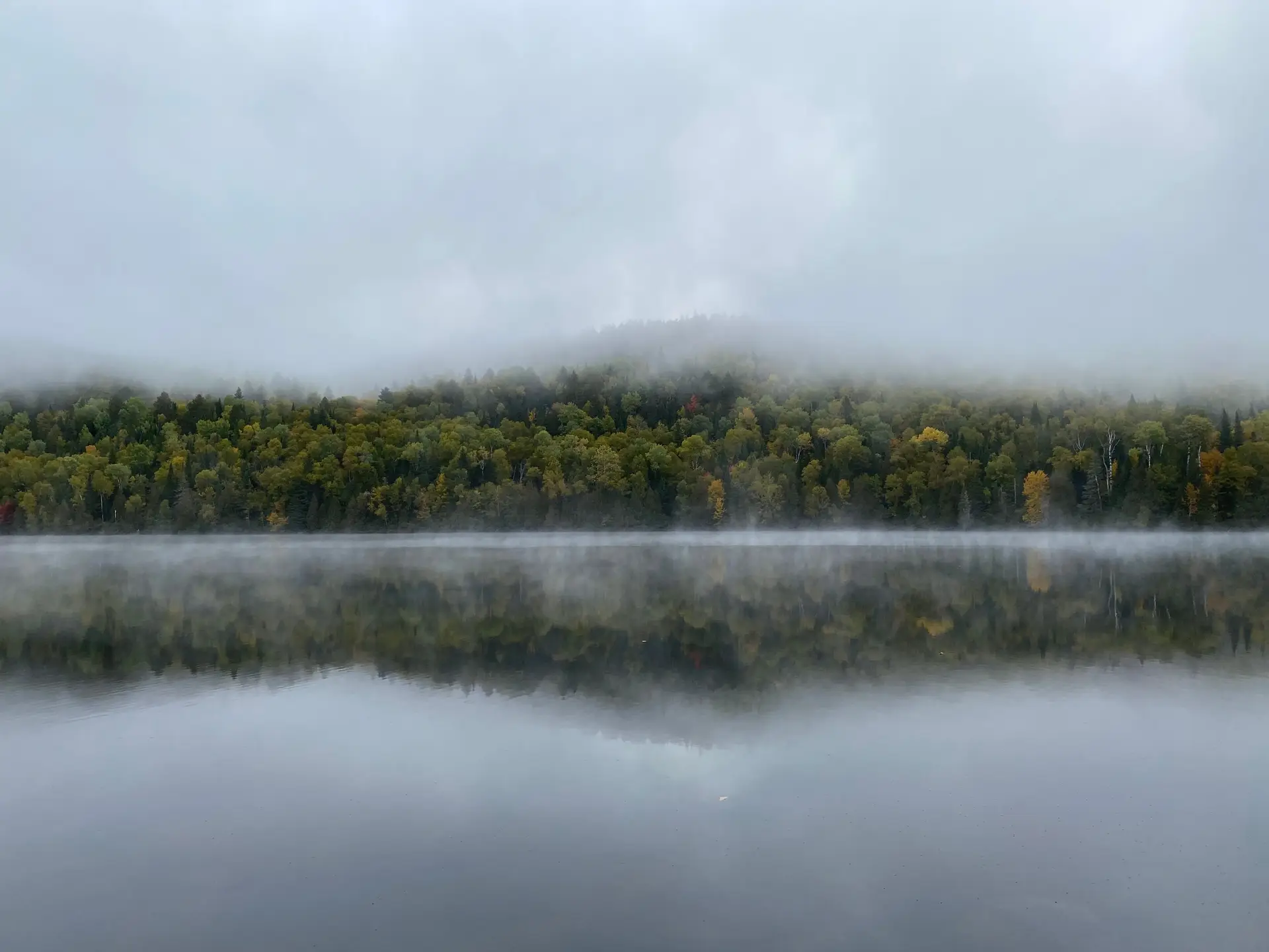 Misty lake reflection in Quebec forest