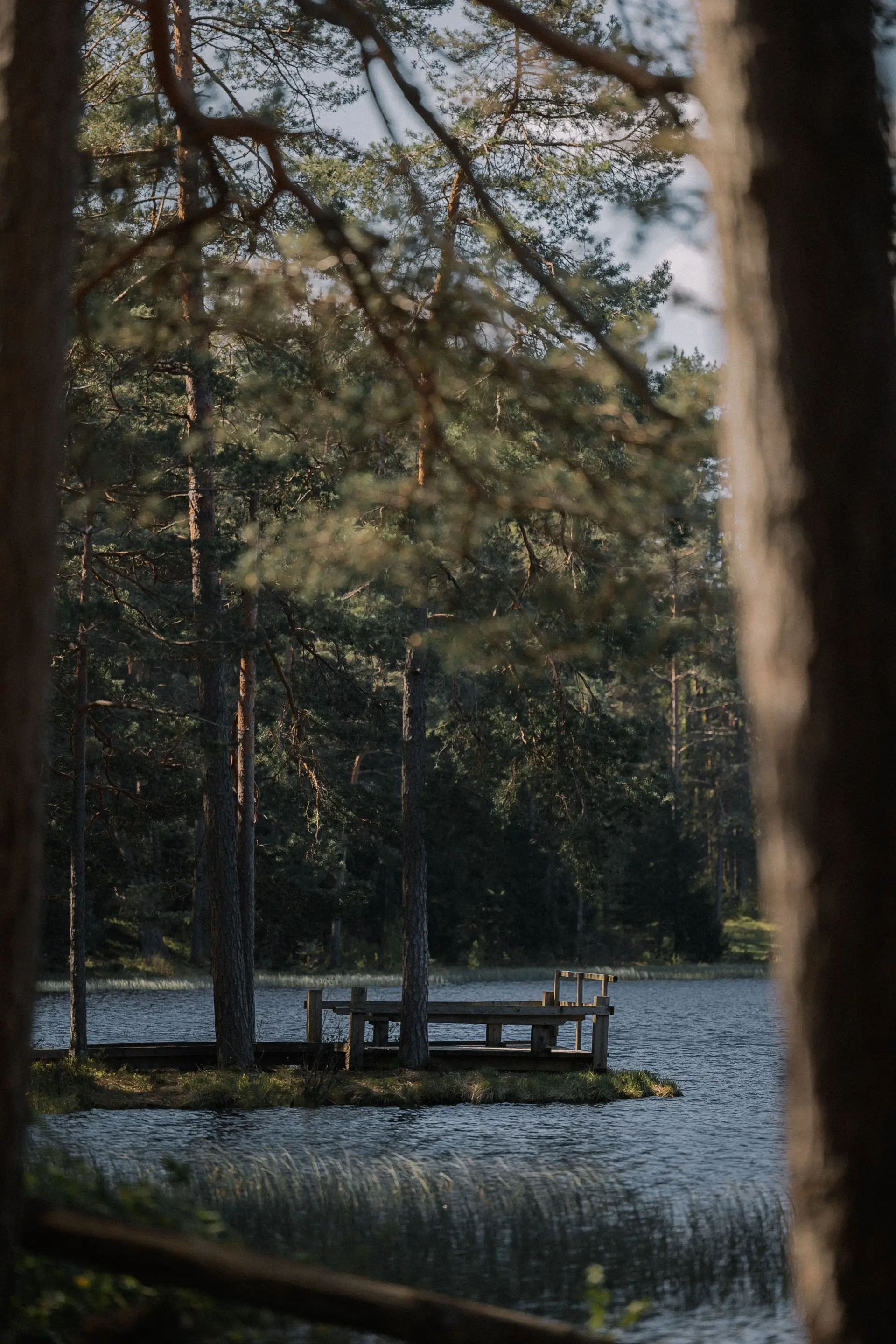 Weathered timber lake dock leading gently into quiet water