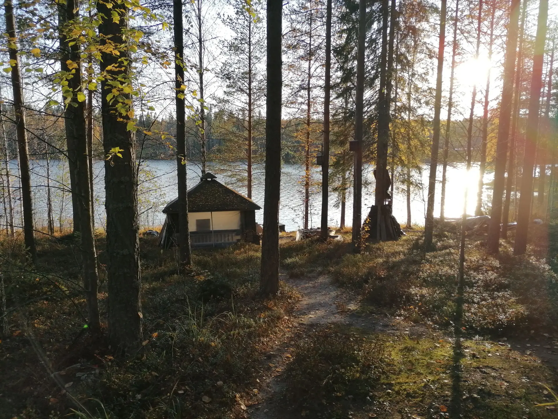 Wooden retreat cabin tucked in tall boreal forest