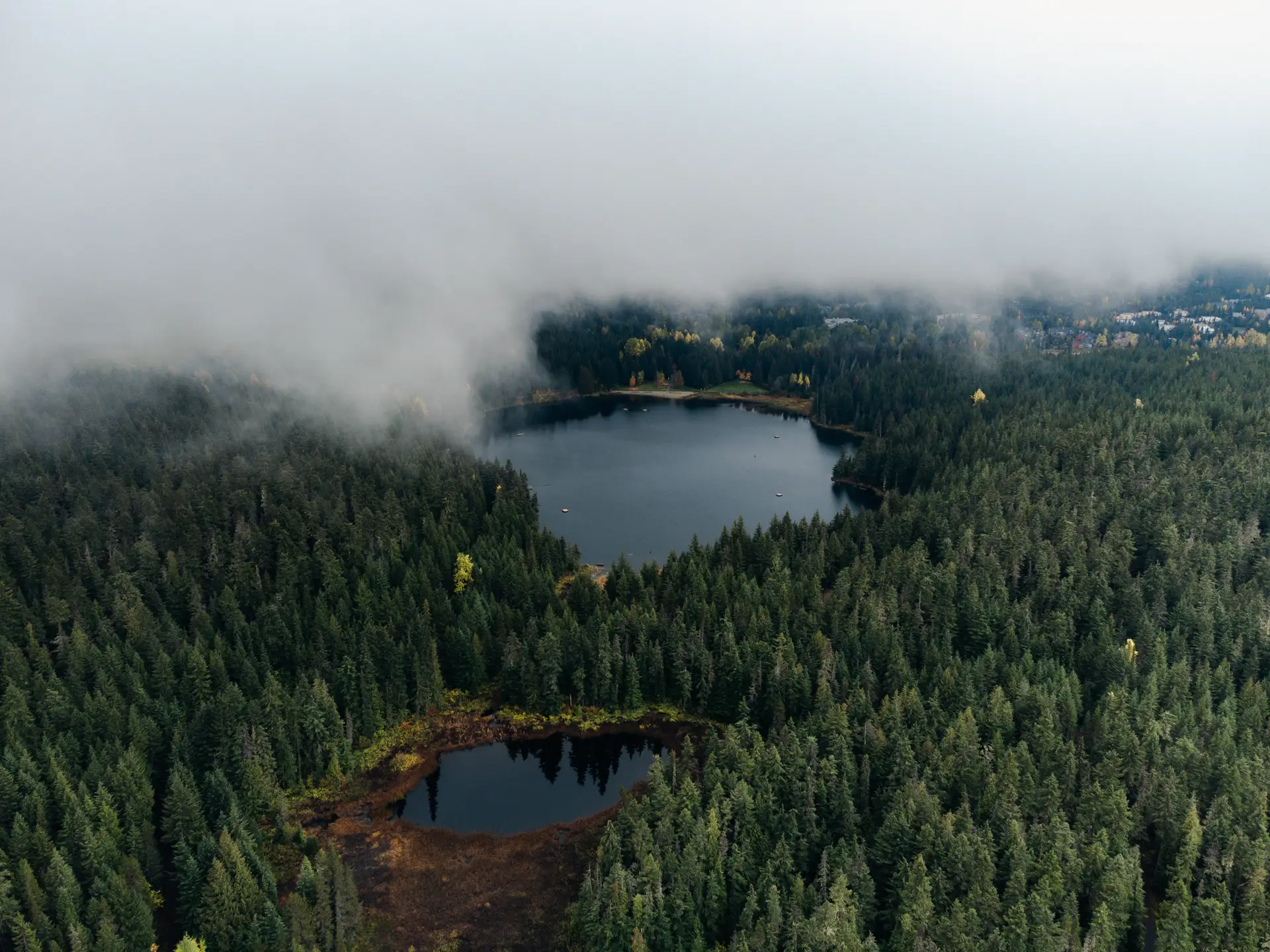 Stunning aerial view of a misty forest and pristine lake in Whistler, British Columbia