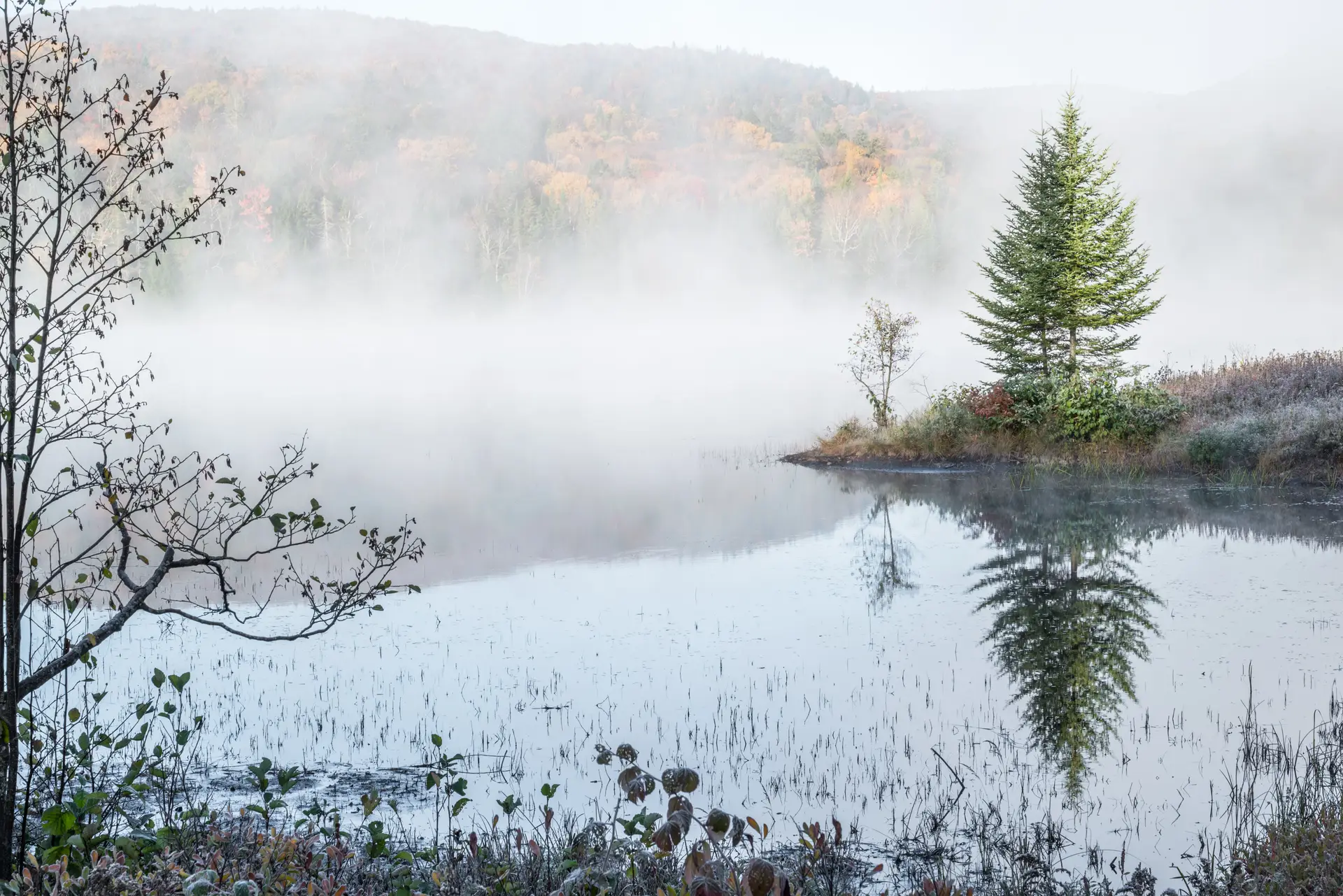 Vibrant scarlet and amber autumn foliage reflected on peaceful pond in Mont-Tremblant