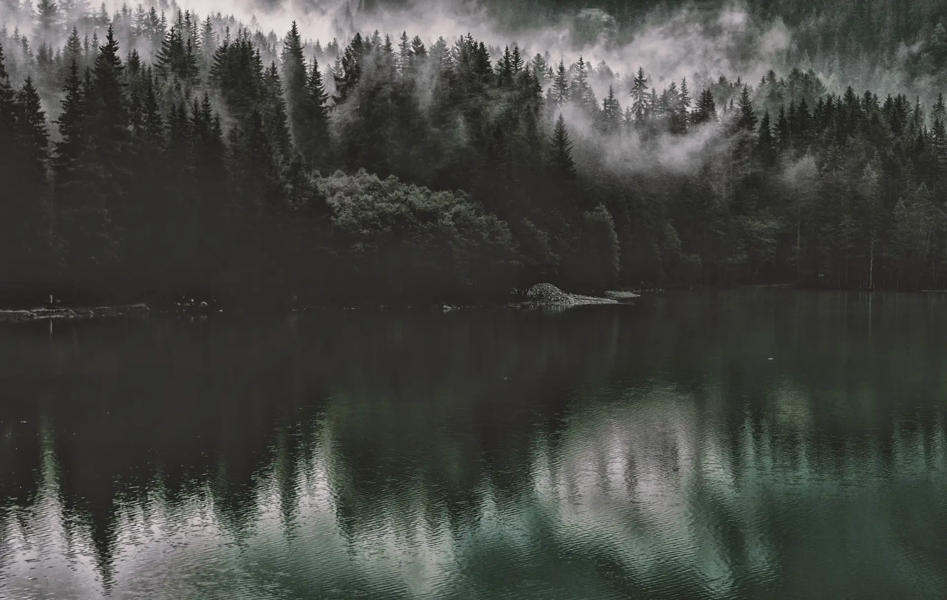 Sunlight breaking through tall evergreen canopy over misty lake