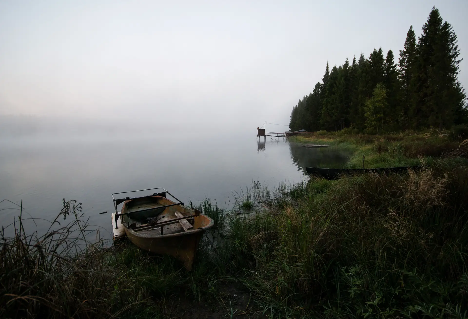 Gentle canoes moored beside evergreen shoreline